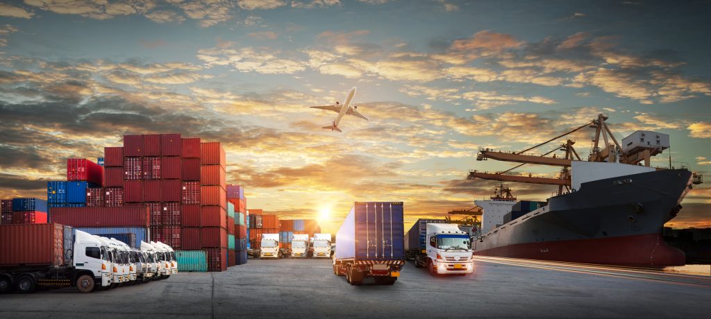 Food Safety and quality insights